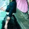 roseara