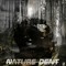 Nature Dent