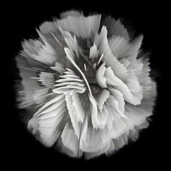 •temportal•