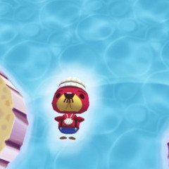 chili bear