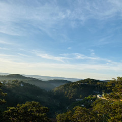 Nguyễn Hậu