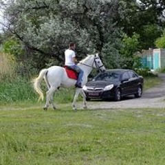 Владимир Скорик