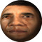 Obama Sphere