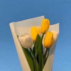 히정