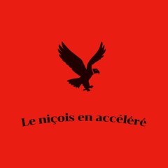 Le niçois en accéléré