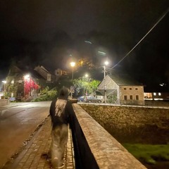 cxyos