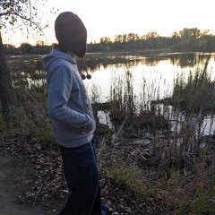 frank;e vaa