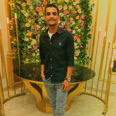 Mostafa Edress