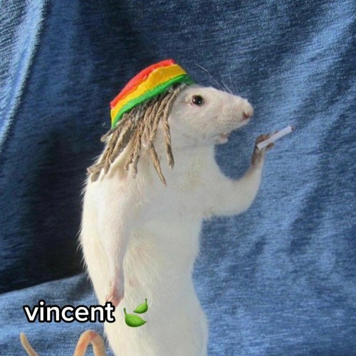 Vincent’s avatar
