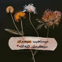 Darsh Elsercy