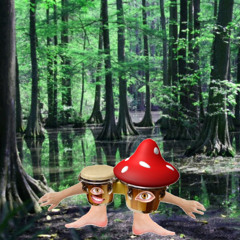 Fungal Bongo