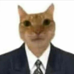 뭘 보시나요