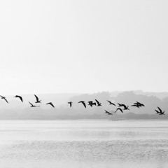 انتِظار | 🕊