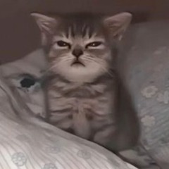 mangoclient