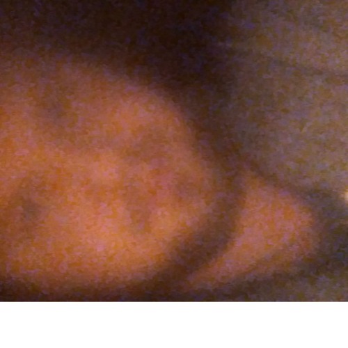 v3tapps_fds
