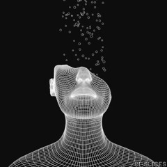 anthromorphiczone