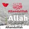 Ahmed Ahmed