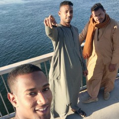 احمد الاسواني