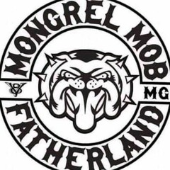 B.DOG M.M FATHERLAND S.F.H