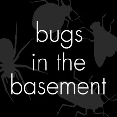 bugsinthebasement