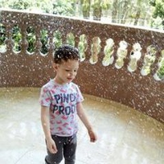 علياء فتحي