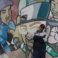 Mc VNS
