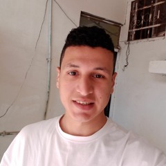 محمود السيد عبدالحميد