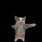 ‌