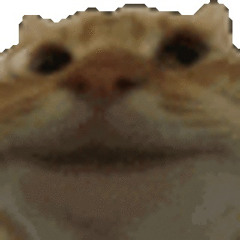 MrWhite