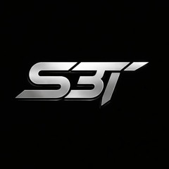 S3T
