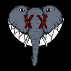 Elephant In The room