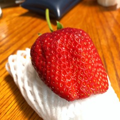 ミジンコ