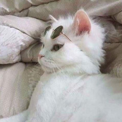 링