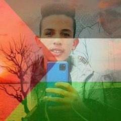 عثمان السيوفى