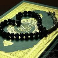 عبدالمحسن محمود