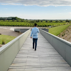 Matias Ezequiel