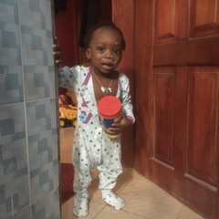 Lion Ikoko
