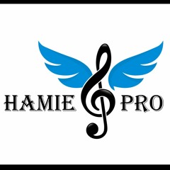 Hamie Pro