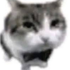 No