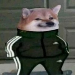 周玄玄