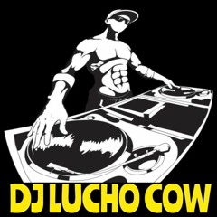 VDJS LUCHO COW