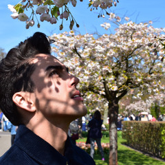 Barassif