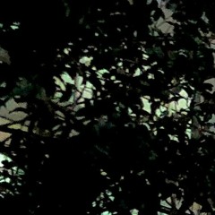 1. D - Goya - Intro ;); (VivoxMiYXTi)