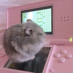 きよ