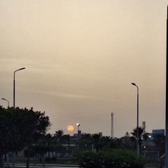 رضوى 🌿
