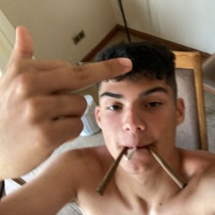 Veivi