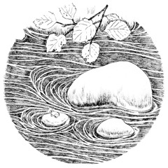 Leona Botanica