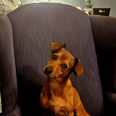Nora