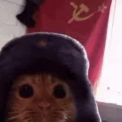 The Russian Cat