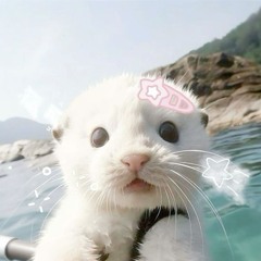 Mi.XJng